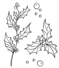Hand drawn holly branch with holly berries . Traditional New year and Christmas decoration. Black and white ink line art.