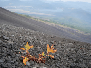 秋の宝永山　登山ルート　