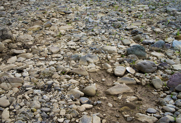 Stone texture near a mountain river.