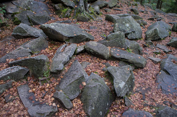 Stone rock texture in the autumn forest.
