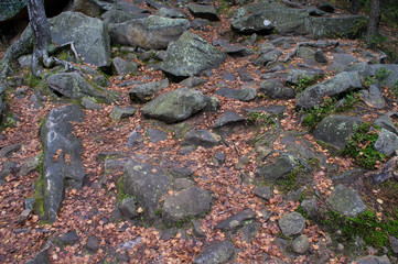 Stone rock texture in the autumn forest.