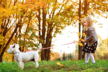 Child girl and dog together in autumn park. Family walk with pet. Colorful autumn leaves. Lovely dog and girl