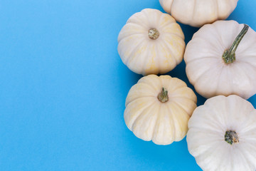 Creative Top view flat lay pumkin composition.
