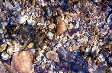  stones in the water