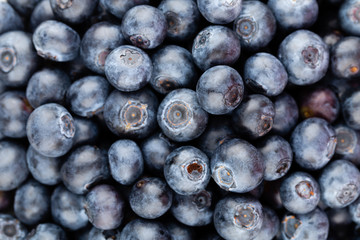 Fresh blueberry background. Texture blueberry berries close up.