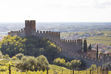 village of Soave with the castle and the vineyards