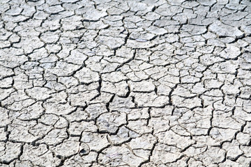 The soil is dry, the surface is cracked because it doesn't rain for a long time