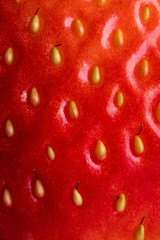 strawberries closeup. Macro Strawberry Seeds. Background and  full frame. vertical photo