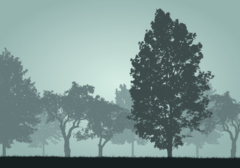 Realistic illustration silhouettes of deciduous trees in forest or meadow. Green sky with sunrise and space for text, vector