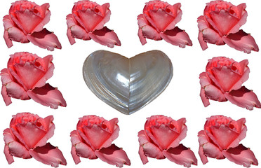 Rosen+Herz