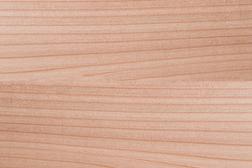 wood texture background