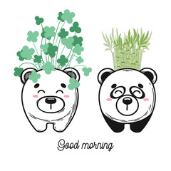 House plant in a pot with a muzzle of the animal. Cute muzzle on the pot. Bear and panda