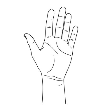 Sketch of counting hand isolated on white background. Open palm showing number five. Vector