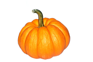 pumpkin with isolated white background