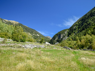 beautiful mountain valley, beautiful grassy mountains and flowers