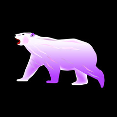 Polar bear. Large white arctic bear with a purple tint on a black. Vector illustration.background.