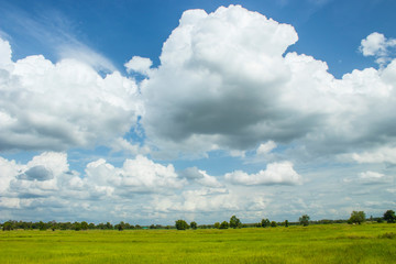 The fields are beautiful clouds.