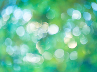 green nature bokeh  for background