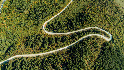 Top View of Rural Road, Path through the green forest and countryside. Autumn forest aerial drone view. Sunny day