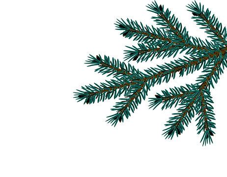 Christmas, New Year. Realistic Christmas tree branch in blue closeup. Cards, business cards, invitations. illustration
