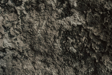 Grunge gray wall with natural concrete cement texture background