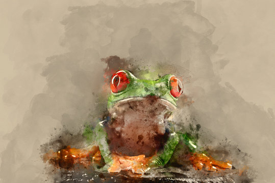 Digital watercolor painting of red eyed tree Boophis Luteus frog with blurred green background