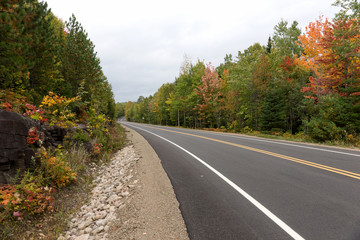 Fototapeta premium Empty street in the Mauricie National Park in Canada. Quebec