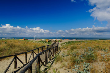 Fototapeta na wymiar Versilia spiaggia dune
