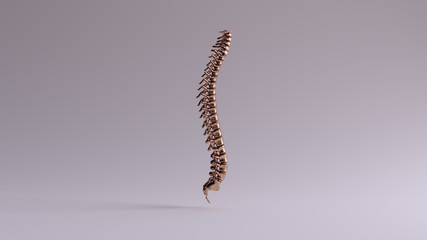 Bronze Spine Vertebrae Backbone Side View 3d illustration 3d render