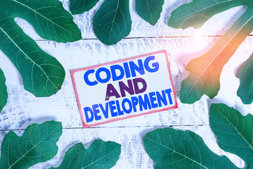 Text sign showing Coding And Development. Business photo text Programming Building simple assembly...