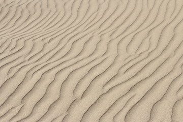 Sand texture. Sandy lines for background