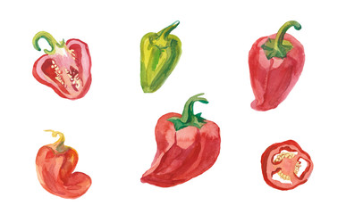 Set of red, orange and green paprika pepper watercolor illustration hand drawn. Vegetable isolated paprika. Creative design ingredient.