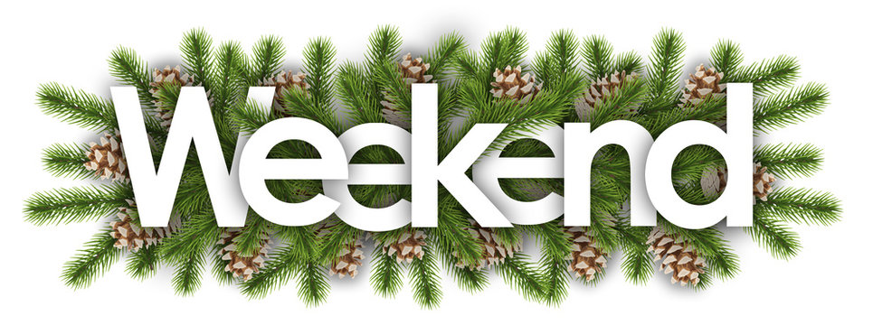 weekend in christmas background - pine branchs