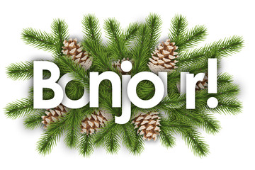 bonjour in christmas background : pine branchs © nali