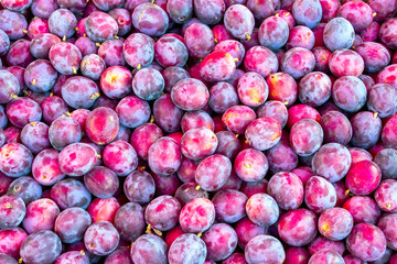 Closeup of fresh plums top view. Background from fresh plums.