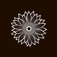 white illustration with flower of sunflower isolated on black background