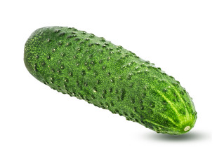 Cucumber isolated on white background with clipping path