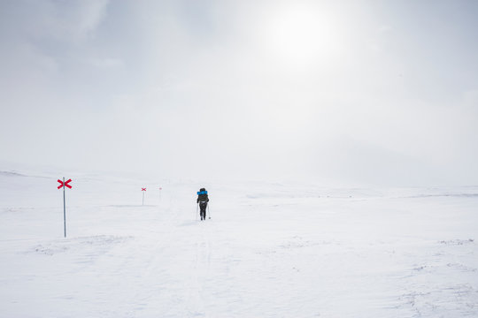 Woman skiing by markers on Kungsleden trail in Lapland, Sweden