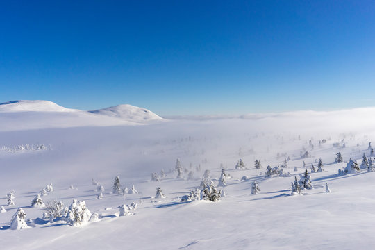 Snow covered landscape