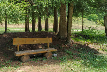 Cute small wooden sitting bench in the green forest next to trees and green grass in the nature and healthy fresh air for relaxation and meditation
