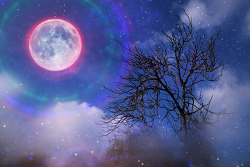 Background image of full moon with halo during dark night and lonely tree
