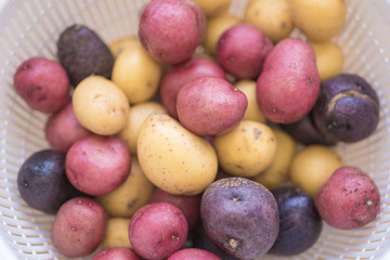 Tricolor mini potatoes in a basket on a wooden table washed and cleaned.