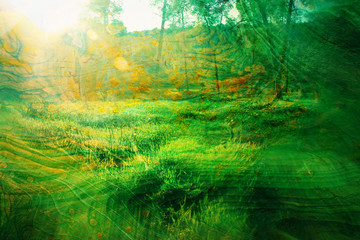 Obraz premium art concept of double exposure in nature. forest and fall colors