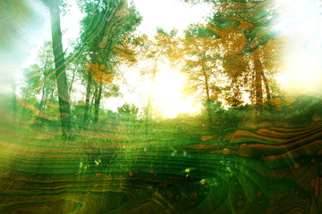 Fototapeta na wymiar art concept of double exposure in nature. forest and fall colors