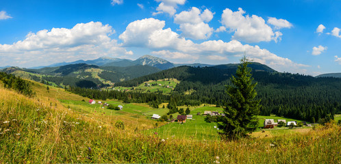 Fototapeta na wymiar Panorama. View of the mountains and forest in the vicinity of the village of Vorokhta. Ukraine. Carpathians.