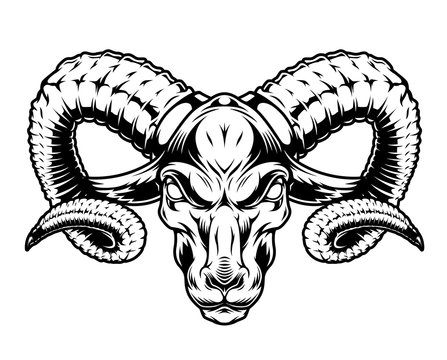 Ram Head Images – Browse 43,710 Stock Photos, Vectors, and Video | Adobe  Stock
