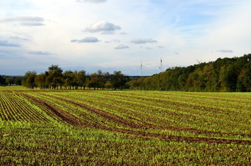 Fototapeta na wymiar Ländliche Landschaft mit Windrädern im Saarland