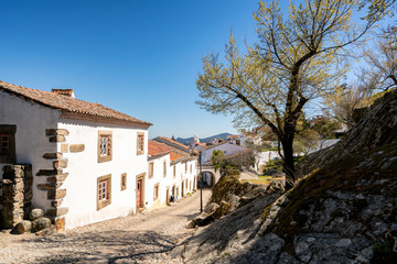 Fototapeta na wymiar Traditional houses on a beautiful street in Marvao, Alentejo, Portugal