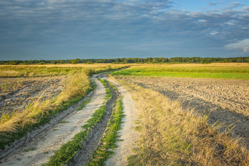 Country dirt road through fields, horizon and evening clouds