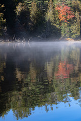 Naklejka na ściany i meble Reflections of a forested shoreline on a misty autumn morning in Algonquin Park Ontario